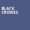 Black Crowes, Santa Barbara Bowl, Santa Barbara